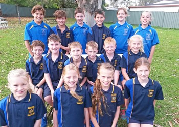 Success at diocesan cross country events IMAGE