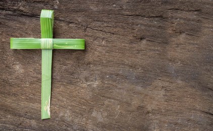 The Doohan Discourse: Palm Sunday of the Passion of the Lord IMAGE