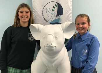 St Michael’s Nelson Bay get Kreative with Koalas IMAGE