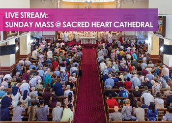 Live Stream Mass this Sunday IMAGE