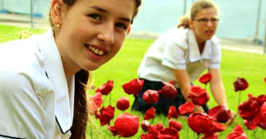 1000 poppies for friend and fallen soldiers  IMAGE