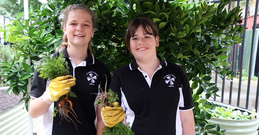 From garden to plate: veggies galore at St Dominic’s Mayfield IMAGE