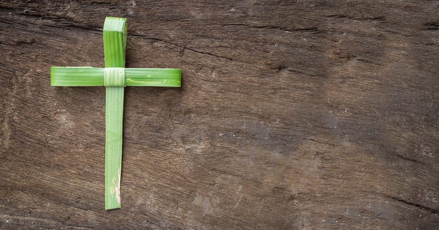 The Doohan Discourse: Palm Sunday of the Passion of the Lord IMAGE