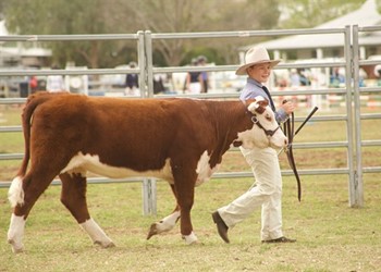 St Catherine’s success at the Merriwa Cattle Show IMAGE