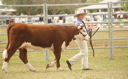 St Catherine’s success at the Merriwa Cattle Show  Image