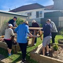 Collective Hearts come together for community garden to thrive Image