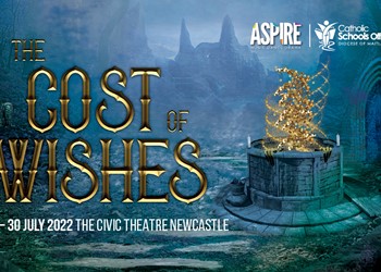 ASPIRE: The Cost of Wishes  IMAGE
