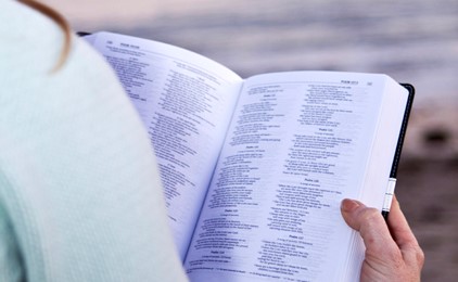 Approaching the word of God in the New Testament IMAGE